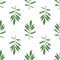 Marigold Leaves Seamless Pattern Background