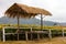 Marigold thatch shack.