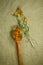 Marigolds, calendula. Dried. Herbal medicine, phytotherapy medic