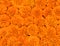 Marigolds flowers wall background with amazing orange, yellow and white field or wild flowers , Wedding decoration, hand made Beau