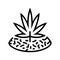 marijuana drug plant line icon vector illustration