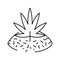 marijuana drug plant line icon vector illustration