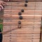 Marimba mallets and wooden keyboard close up