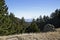 Marin County Hiking trails in Mountain Tamalpais