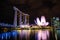 Marina Bay Sands at Night, Singapore