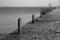 Marina bollard bitt at jetty for boats, ships and yachts mooring. Old broken rusty metal sticks on a pier. Black and White