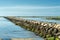 Marina breakwater birds in Provincetown, USA.