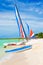 Marina with colorful catamarans at a beach in Cuba