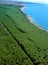 Marina di Cecina - aerial view of pinewood beaches and sea