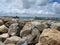 Marina di Pisa - Pisa - 19 May 2019 - Two lighthouses at the new port of Marina di Pisa