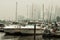 Marina filled with boats with the Milwaukee skyline shrouded in mist and fog