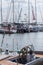 Marina of Gdynia