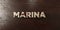 Marina - grungy wooden headline on Maple - 3D rendered royalty free stock image