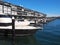 Marina at Historical Bond Store on Wooden Wharf, Walsh Bay, Sydney, Australia