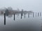 Marina looks spooky with fog covering the water on a warm January morning on Long Island