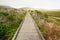 The Marina Peninsula Trail at Morro Bay State Park Goes Through the Estuary and an Elfin Forest near the Harbor, California