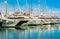 Marina port of Palma de Majorca, luxury yachts moored in front of Cathedral La Seu