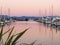 Marina reflections, Tauranga.