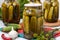 Marinated cucumbers in jars, garlic and dill on a white background