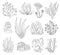 Marine algae, ocean seaweed and corals silhouettes. Underwater algae. Aquarium plants collection. Vector marine life