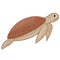 Marine animal collection clipart