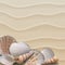 Marine background with seashells on sand.