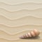 Marine background with seashells on sand.