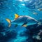 Marine beauty Fish in majestic underwater scene, blue sea