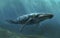 Marine biology marvel majestic whale exploring its aquatic kingdom. Generated AI