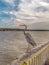 Marine birds on the Alabama Gulf Coast