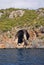 Marine caves, Italy