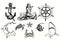 Marine collection,  anchor, mermaid, Ship`s wheel , Hummerhead shark, Sea turtle Chelonioidea, sea star, crab, fishes