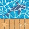 Marine color background with great white shark and starfish. Summer vector background.