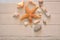 Marine composition seashells marine starfish on wooden background