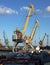 Marine cranes in cargo port