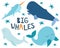 Marine creatures. Vector illustration of whales and starfish, narwhal, blue whale, beluga whale, arranged around lettering Big