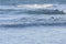 Marine detail, moving water, small waves of a calm sea, in Mar del Plata