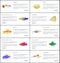 Marine Fishes Collection Color Vector Illustration