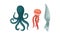 Marine Habitant with Umbrella-shaped Jellyfish and Squid Vector Set