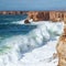 Marine huge wave goes ashore.