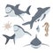 Marine illustrations set. Collection of Swimming sharks and isolated objects on white background. Vector