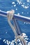 Marine knot detail stainless steel boat railing