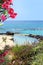 Marine lagoon and red oleander flowers