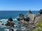 Marine Landscape. The view of rocky coastline at Tawharanui Regional Park in a sunny day, New Zealand