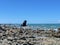 Marine Landscape. The view of rocky coastline at Tawharanui Regional Park in a sunny day, New Zealand