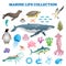 Marine life collection vector illustration. Sea and ocean wild fauna fishes