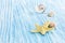 marine life decoration. blue wooden board with starfish and spiral seashells