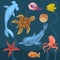 Marine Life, Ocean Inhabitants, Sea Fauna of Octopus, Dolphin, Starfish, Jellyfish, Fishes, Turtle Vector Illustration