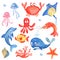 Marine life: octopus, jellyfish, stingray , seashell, coral, dolphin, fish, starfish. Seamless ca