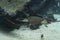 Marine life, stingray with dot pattern swimming in water with an underwater